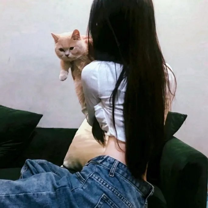 屋顶里的散步者