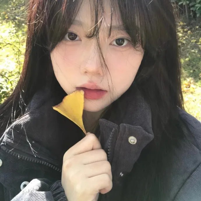 森林随处可见